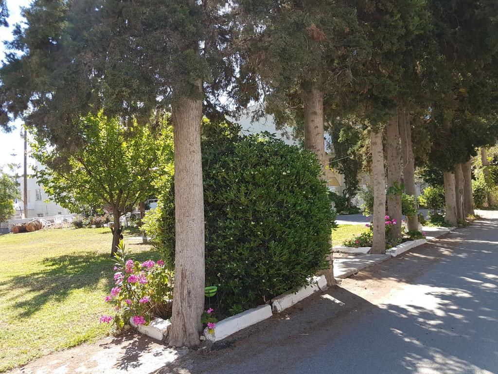 Bueno Hotel Platanes  Zewnętrze zdjęcie